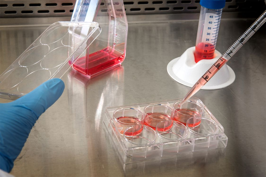 What Is CAR-T Cell Therapy? Engineered Immune Cells and Their Biotech Investment Implications