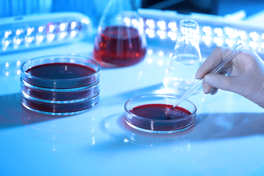 What Is Preclinical Research? The Science That Happens Before Human Trials