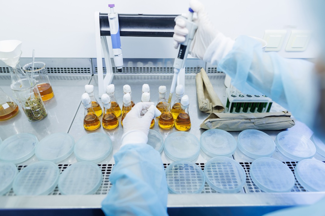Astellas Brings 21 Abstracts to ESMO 2026, Results Still Under Wraps